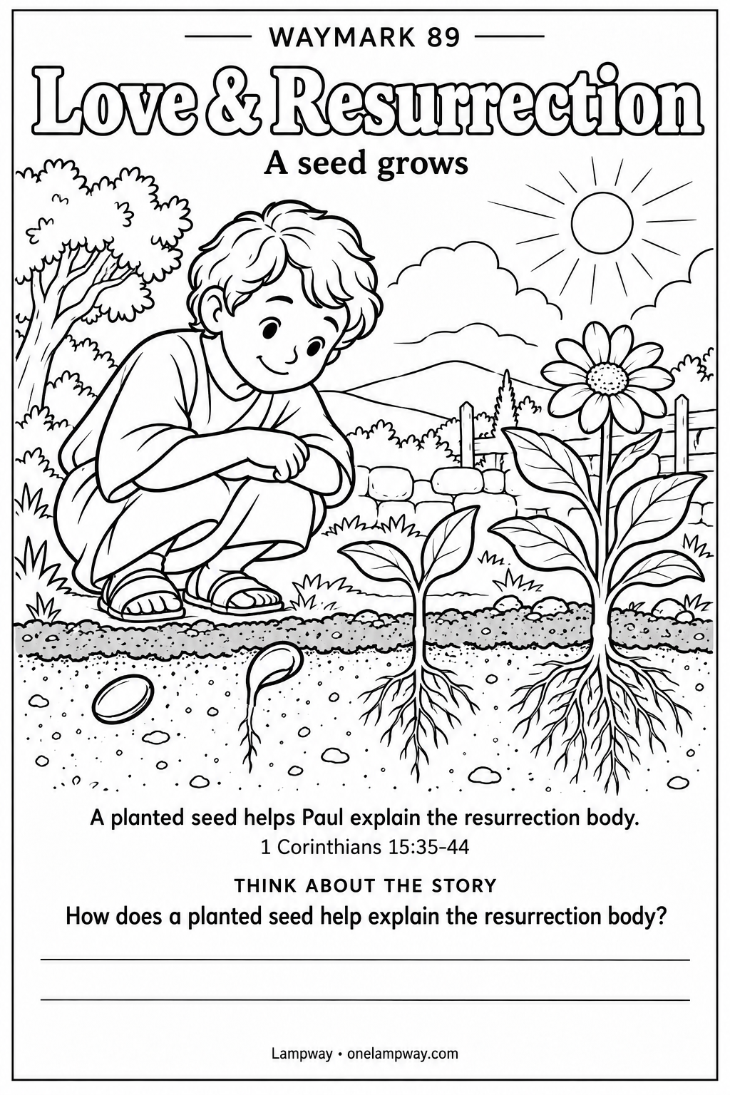 A planted seed helps Paul explain the resurrection body. 1 Corinthians 15:35-44. How does a planted seed help explain the resurrection body?